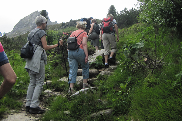 Jäsenmatkan osallistujia kiipeämässä vuorelle. Naisia, miehiä, reppuja, kävelysauvat, niittyä polun vieressä.